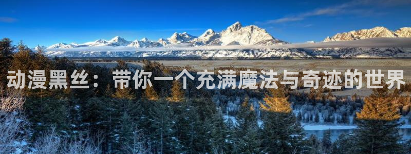 58动漫网手机：动漫黑丝：带你一个充满魔法与奇迹的世界