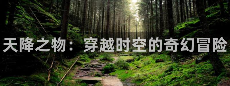 58动漫网站官网免费下载：天降之物：穿越时空的奇幻冒险