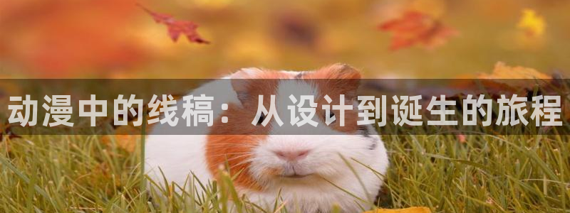 58动漫 官网：动漫中的线稿：从设计到诞生的旅程