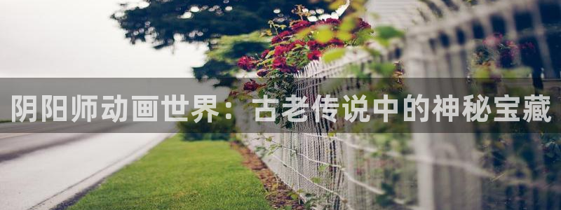 58动漫免费看：阴阳师动画世界：古老传说中的神秘宝藏