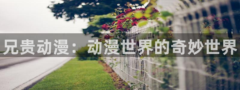 58动漫.：兄贵动漫：动漫世界的奇妙世界