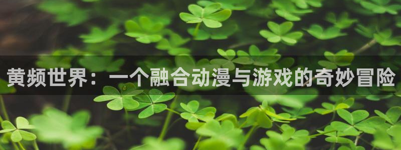 58动漫网页：黄频世界：一个融合动漫与游戏的奇妙冒险