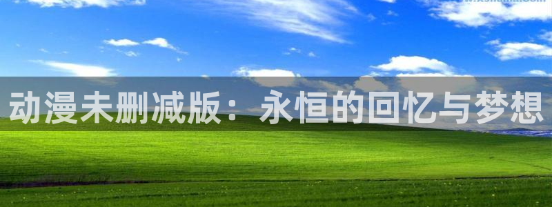58动漫免费看：动漫未删减版：永恒的回忆与梦想